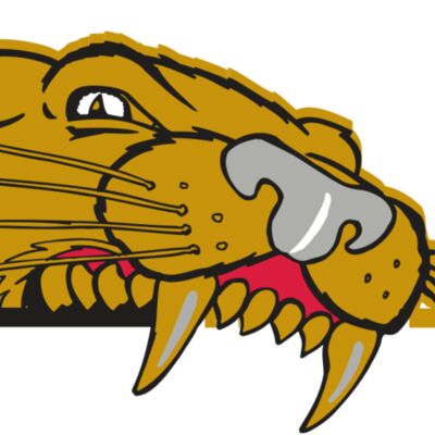 AR COUGAR 73 RC Thumbnail