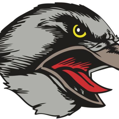 BAW HWK FLCN 13 RC Thumbnail