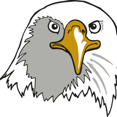 AR EAGLE 39 RC Thumbnail