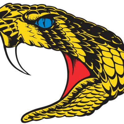 BAW SNAKE 06 RC Thumbnail